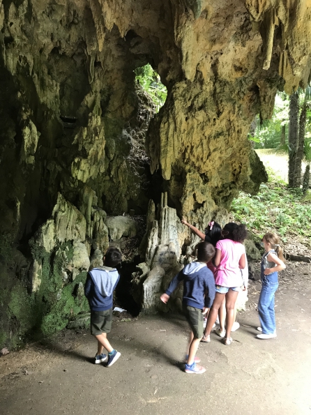 25DDAA0E-2176-4CEF-B2CD-1CC7CEE471E7