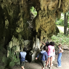 25DDAA0E-2176-4CEF-B2CD-1CC7CEE471E7