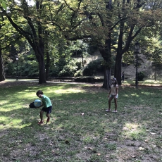 8A8645B9-451C-4ED3-AD26-698904E5DF61