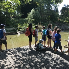 0241C816-1BE2-495C-A36D-4039B9B5082E