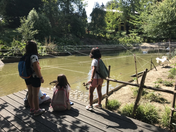 A6C8E663-C6FF-47B6-AEFB-E9C2A51BCAA2