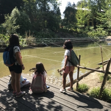 A6C8E663-C6FF-47B6-AEFB-E9C2A51BCAA2